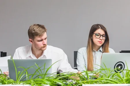 A group of employees experiencing hostile work environment