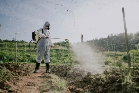 What Compensation Can I Get if I Sue for Roundup Weedkiller Causing Cancer