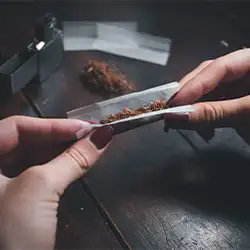 A photo shows rolling a marijuana