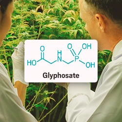 Scientists researching out in a farm with Glyphosate graphic in the foreground