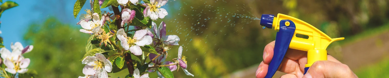 A person spraying weed killer that have glyphosate on plants