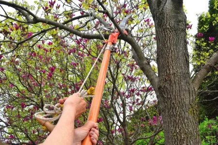 Worx Polesaw Lawsuit