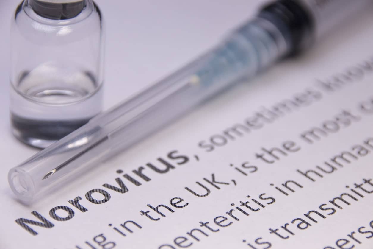 norovirus